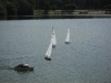 SAM_0264